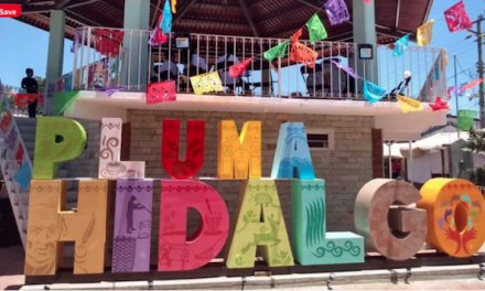 Pluma Hidalgo December 2020