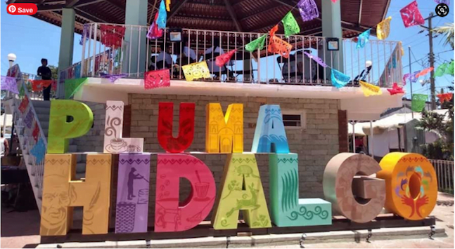 Pluma Hidalgo December 2020