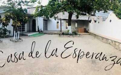 We Helped Start a Church Under a Tree!