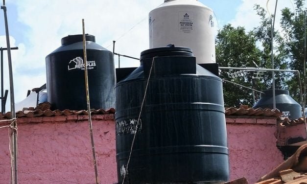 THIS Died in Our Water Cistern!